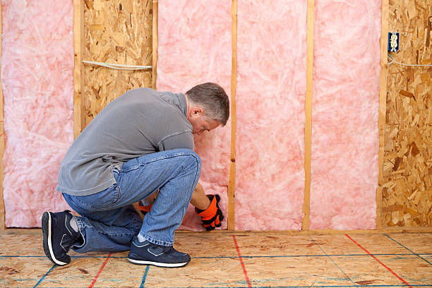 Best Insulation Contractor Near Me  in Warsaw, IN