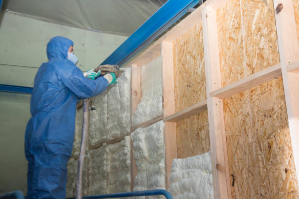 Best Residential Insulation Services  in Warsaw, IN